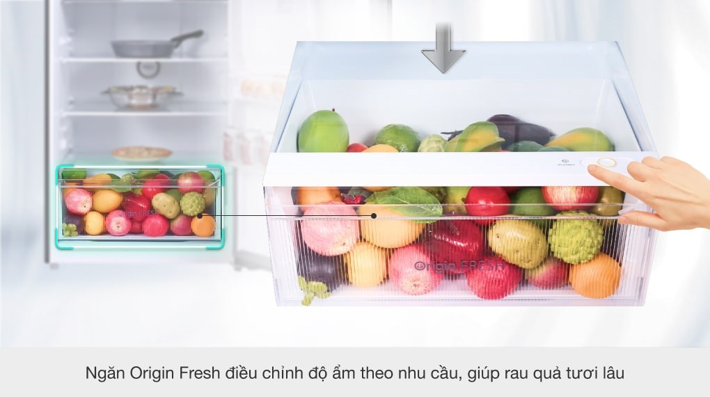 Tủ Lạnh Toshiba Inverter 407 Lít GR-RT535WE-PMV(06)-MG - ngăn trữ rau quả